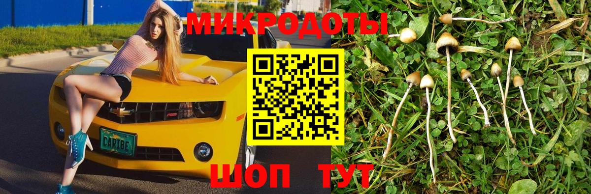 цена наркотик  Вход с VPN  Клинцы  Псилоцибиновые грибы Magic Shrooms  Псилоцибиновые грибы Psilocybe 